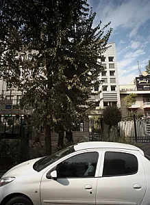 دکتر مژگان محمدی