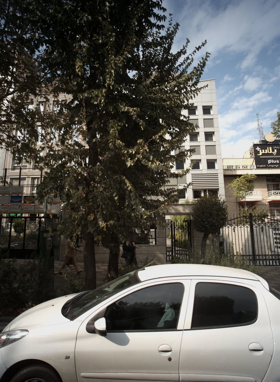 دکتر مژگان محمدی