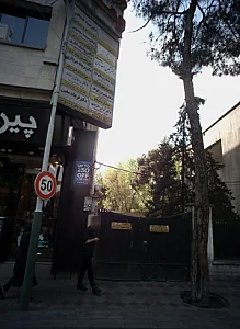 دکتر سپیده مجذوبی