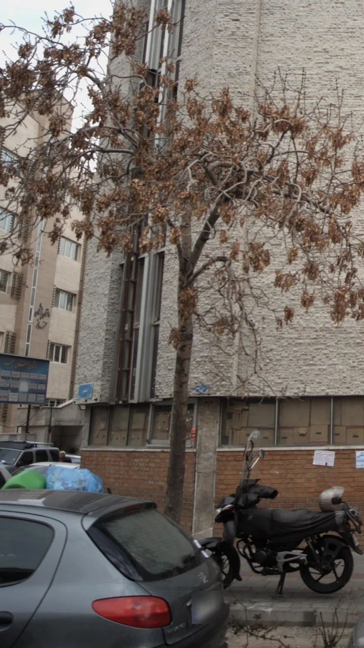 ساختمان پزشکان رازی - تصویر 2
