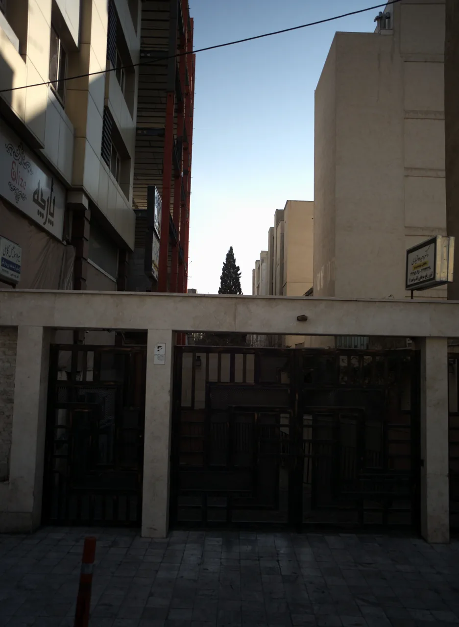 دکتر وحید دولتیاری