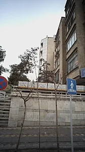 دکتر پروین خرازی
