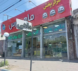 ماهی ارس