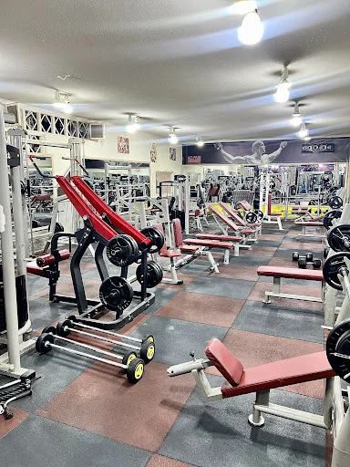 باشگاه بدنسازی اکسیژن برتر (آقایان)