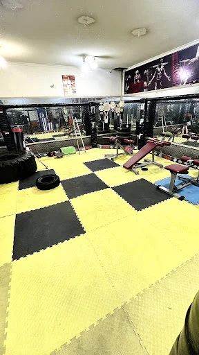 باشگاه بدنسازی اکسیژن برتر (آقایان)