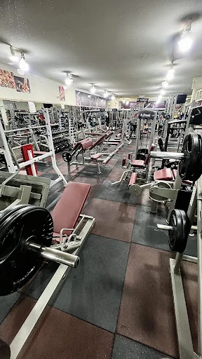 باشگاه بدنسازی اکسیژن برتر (آقایان)