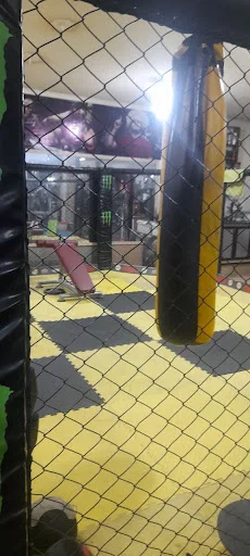 باشگاه بدنسازی اکسیژن برتر (آقایان)