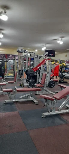 باشگاه بدنسازی اکسیژن برتر (آقایان)