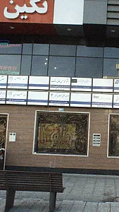 دکتر محمد حسن فانی سالک