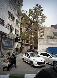 دکتر طاهره دانشمندی