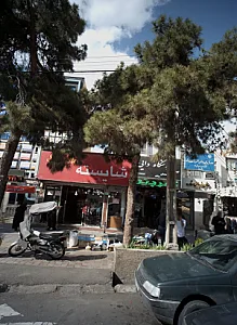 دکتر نازنین آریا نژاد