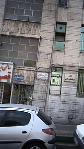 دکتر نجیبه علی یاری