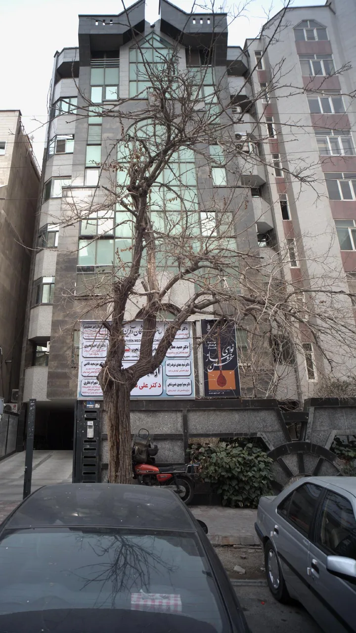 دکتر سید مهدی شریف زاده