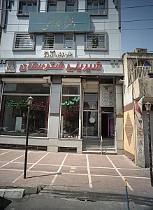دکتر سید سعید رسولی نژاد