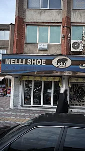 دکتر ابوالقاسم تقوی نیا