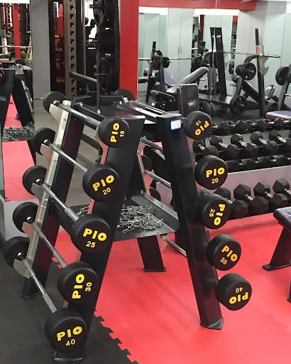 باشگاه بدنسازی جزیره