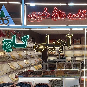 آجیلی کاج