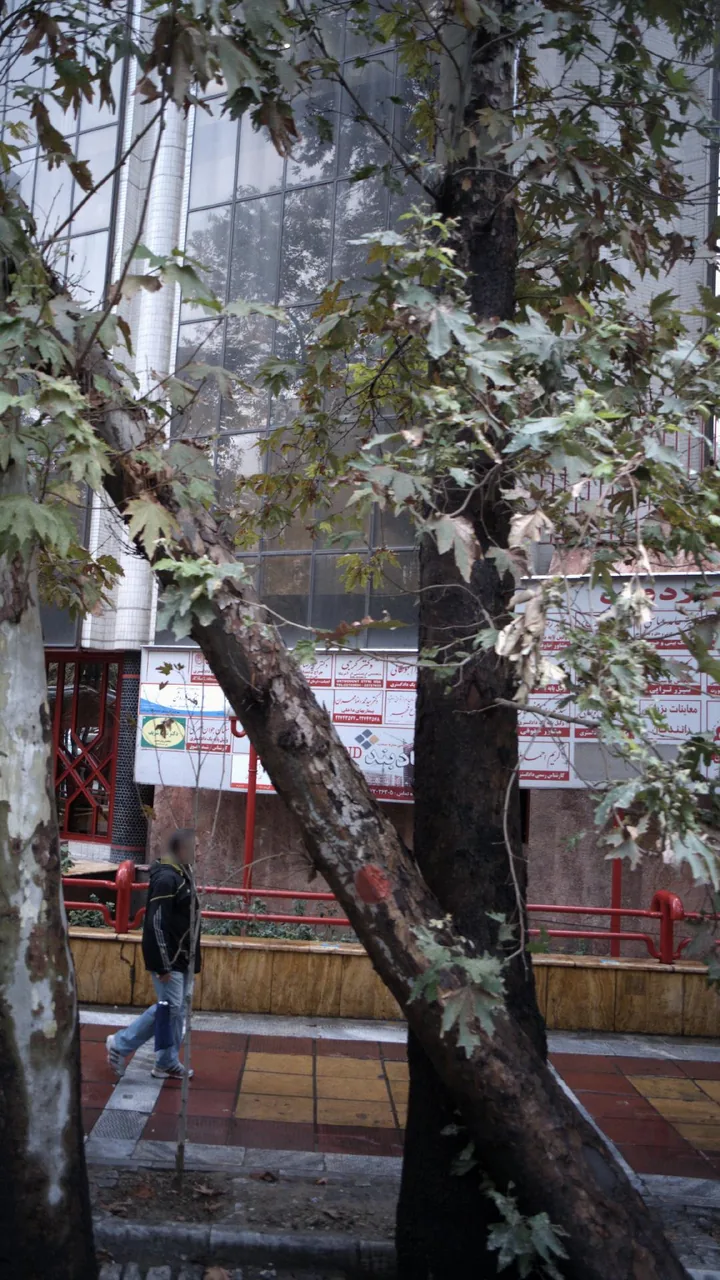 دکتر گرجی