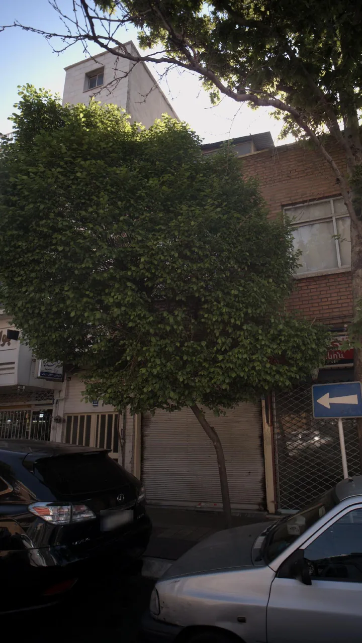 دکتر صمدی - تصویر 2