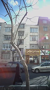 دکتر عباس علی امین روان