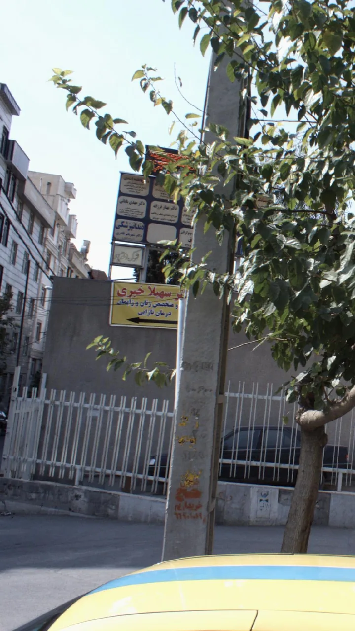 دکتر بهناز فرزانه - تصویر 2