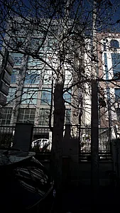 دکتر حسن نوروزی