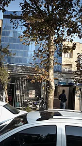دکتر مسعود جاوید