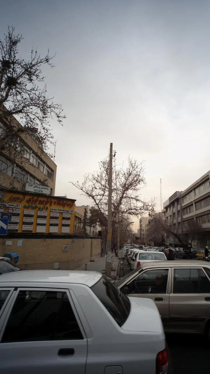 دکتر آوید میر شکرایی - تصویر 3