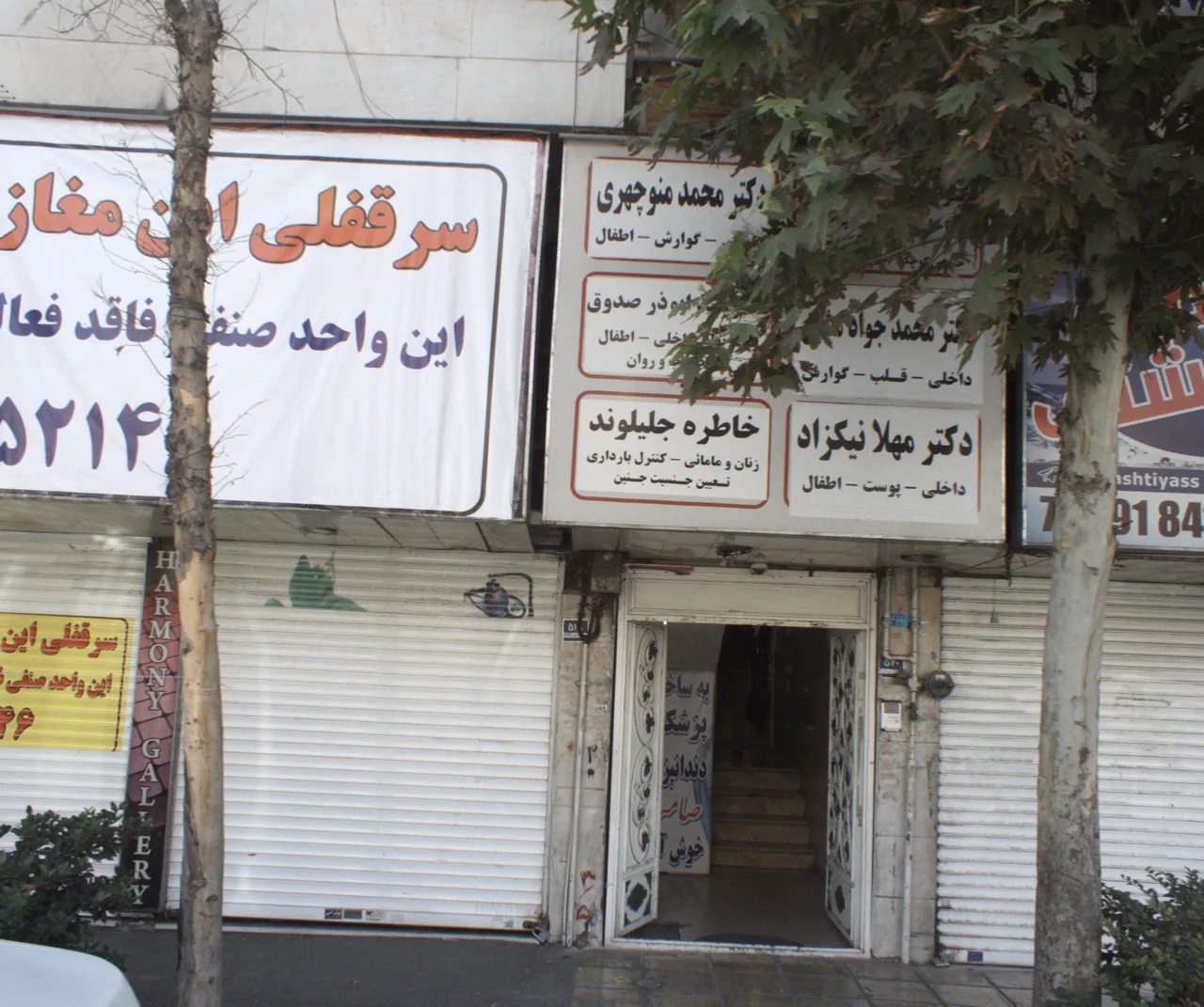 دکتر مهلا نیکزاد