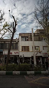 دکتر سید علیرضا هاشم نژاد