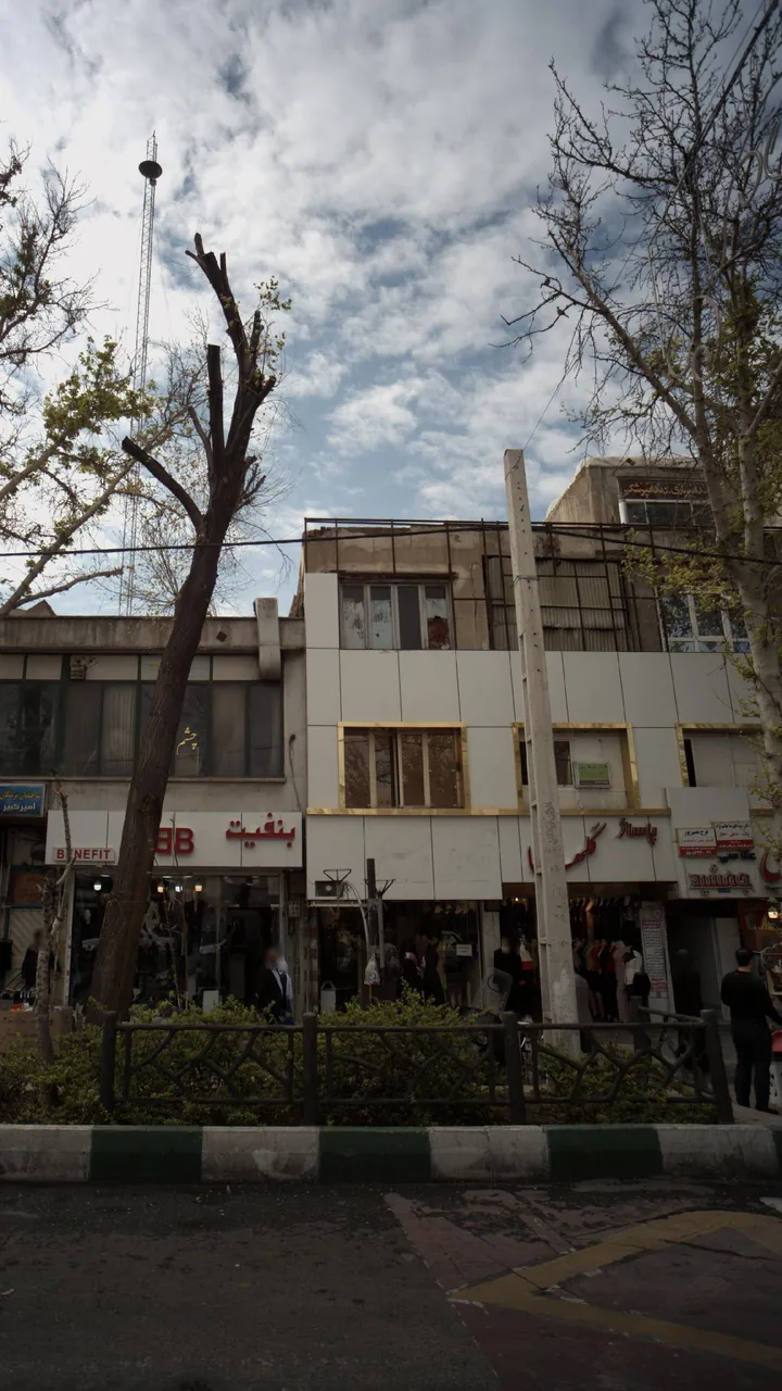 دکتر سید علیرضا هاشم نژاد