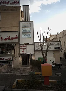 دکتر سیده نسترن رضوانی زاده