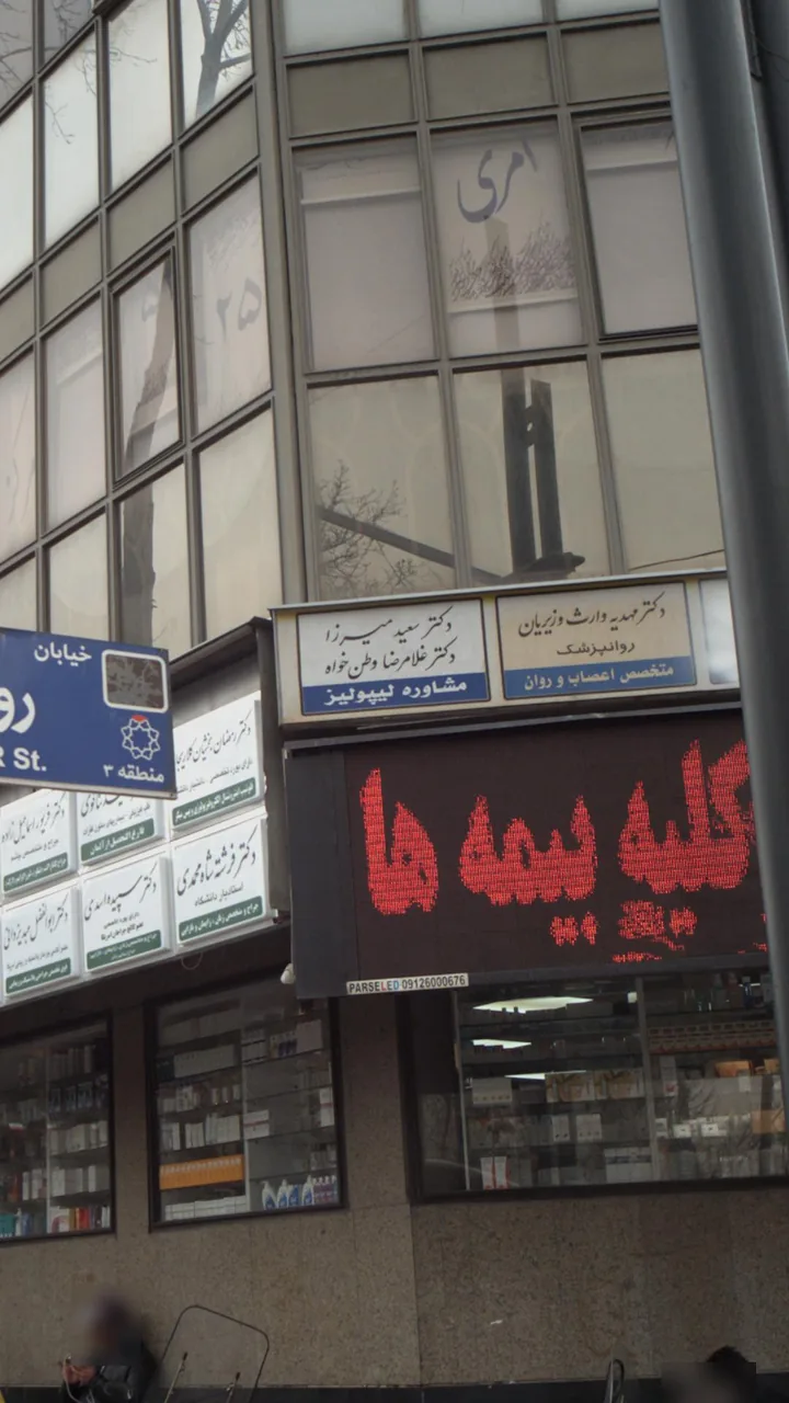 دکتر سعید میرزا و دکتر غلامرضا وطن خواه - تصویر 2