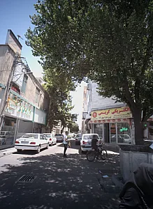 دکتر میترا نجفی پور مقدم - پزشک عمومی در تهران