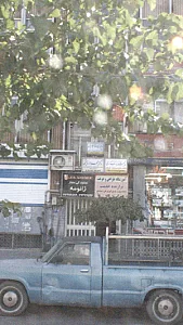 دکتر محمد درویشی