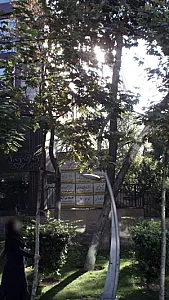 دکتر سید علی واحدی