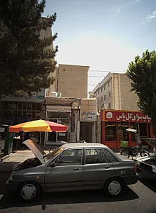 دکتر سید رضا افضل نیا