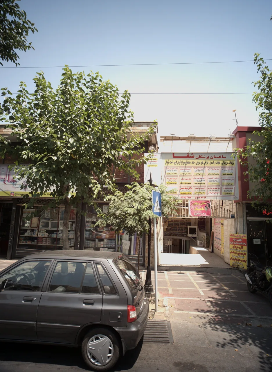 دکتر محمد مهدی ضیائی