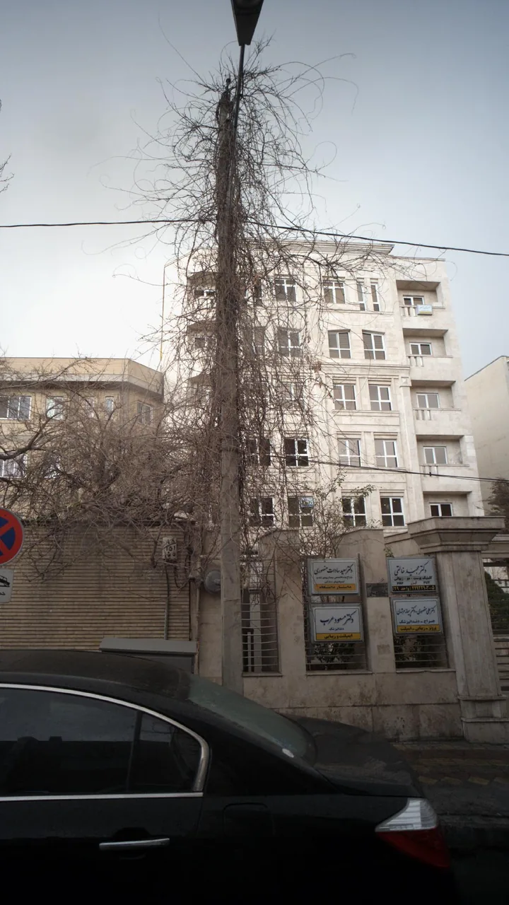 دکتر سعید سادات منصوری - تصویر 4