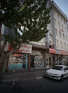 دکتر امیرفرشید علائی