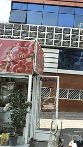 دکتر حمید روشندل