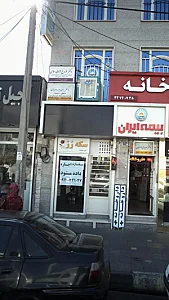 دکتر سعید بیرودیان