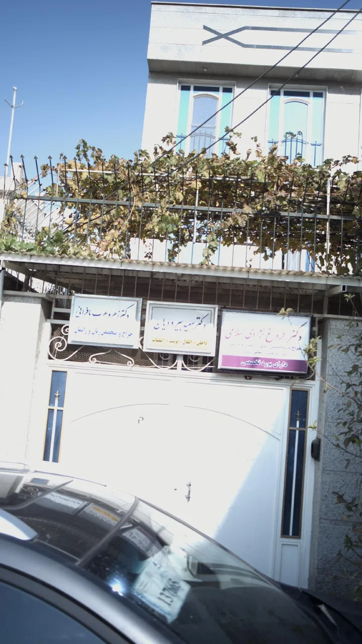 دکتر سعید بیرودیان - تصویر 2