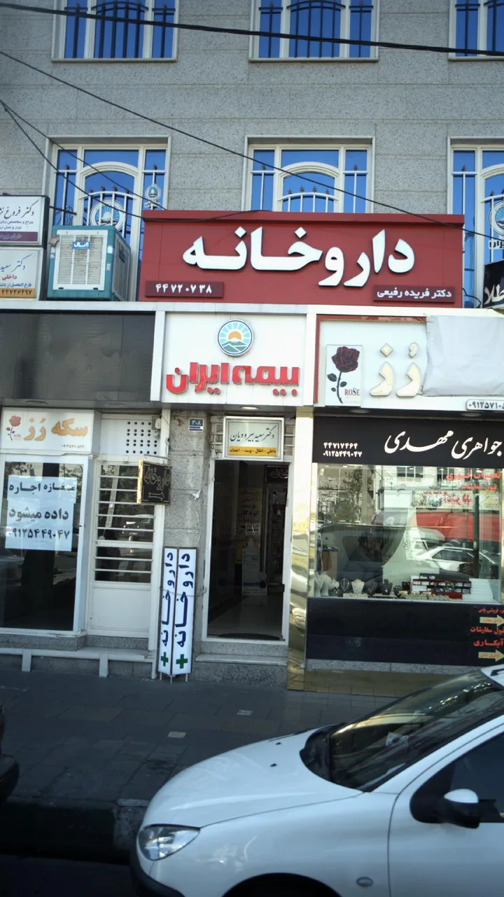دکتر سعید بیرودیان - تصویر 3