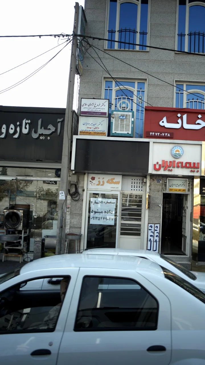 دکتر سعید بیرودیان - تصویر 4