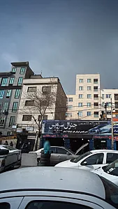 دکتر نفیسه شفیع زاده