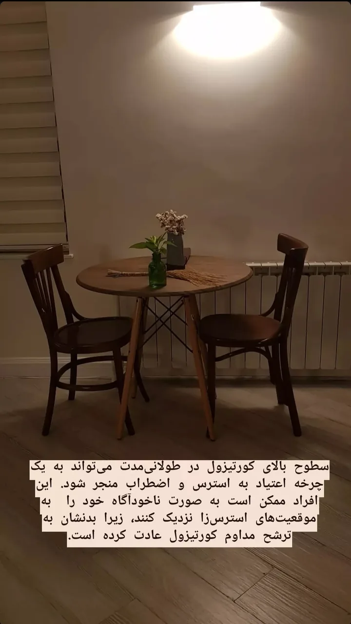 روانشناس دکتر سهیلا تاجیک - تصویر 2