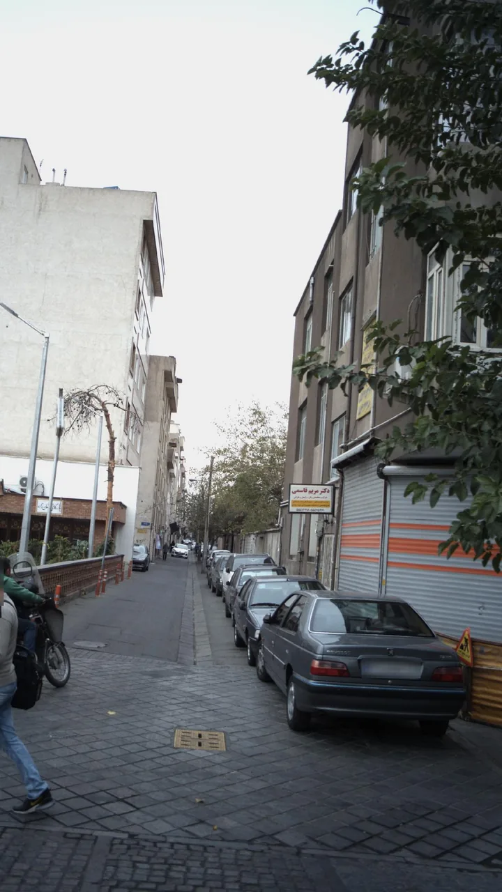 دکتر مریم قاسمی - تصویر 2