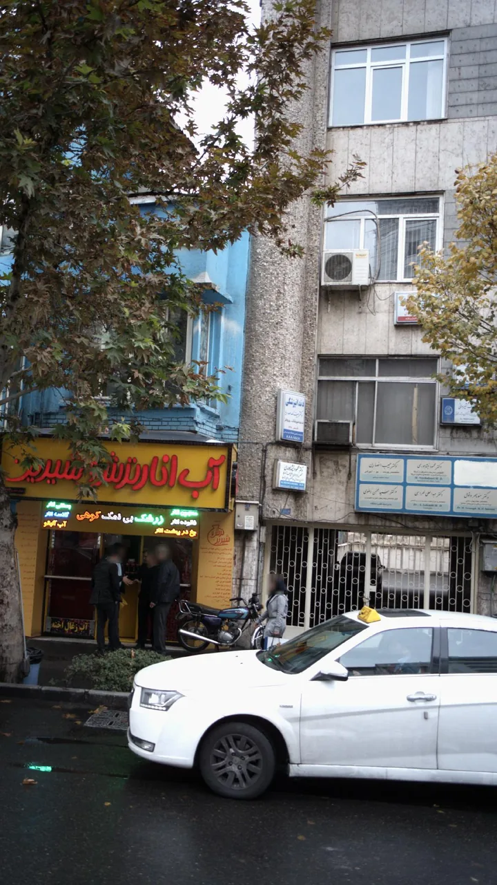 دکتر سید محسن رضوی