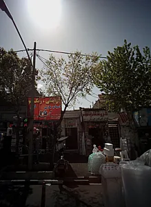 دکتر مسعود ماهیچی